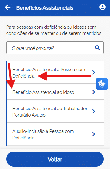 BPC/Loas: requisitos, como pedir e o que fazer se for negado 3 BPC à Pessoa com Deficiência ou ao Idoso