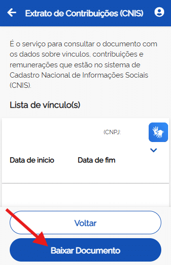 CNIS: o que é, como consultar, erros comuns e como corrigir 3 baixar documento cnis