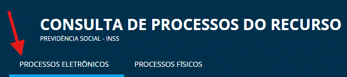 Recurso INSS: Como Funciona, Prazos e Tipos (2026) 5 Consulta processos recurso INSS