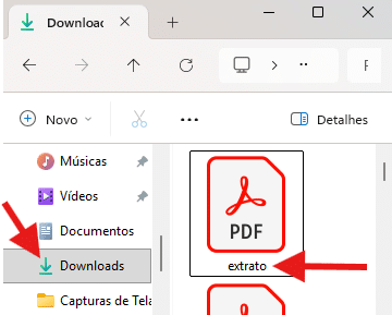 CNIS: o que é, como consultar, erros comuns e como corrigir 5 pasta downloads extrato