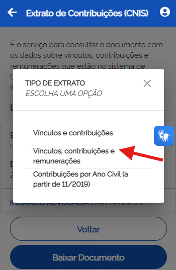 CNIS: o que é, como consultar, erros comuns e como corrigir 4 vínculos contribuições remunerações cnis