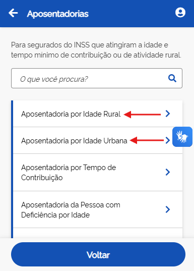 Aposentadoria por Idade: Requisitos e Regras Atualizadas (2026) 2 aposentadoria por idade meu inss