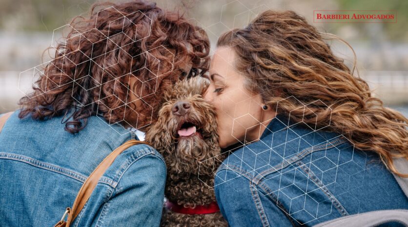 Guarda compartilhada de animais de estimação: PL 941/2024